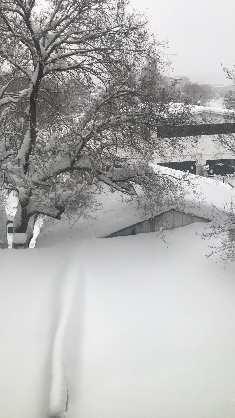 Snowy landscape in Flagstaff, AZ